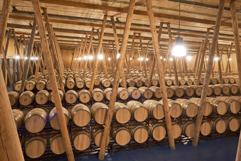 Picture 3 for Activity Burgos: Bela Winery - Villalba de Duero