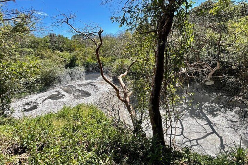 Rincon de la Vieja Volcano Guided Hike