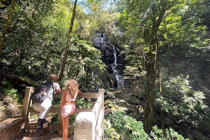 Rincon de la Vieja Volcano Guided Hike