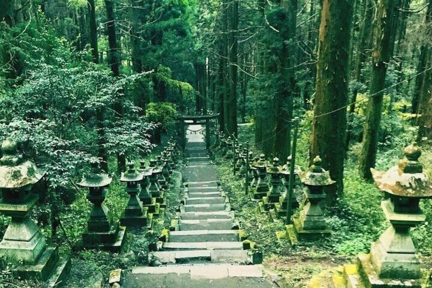 Fukuoka's Kumano & Amano Shrine, Takachiho, Moon Park & Hemp Tour