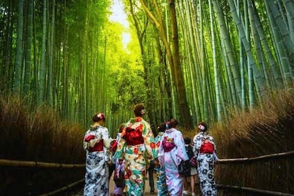 Day Trip to Arashiyama Nara Yasaka Shrine Hanamikoji from Osaka