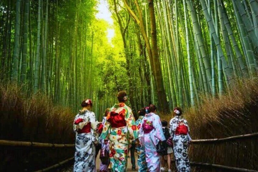 Arashiyama Bamboo Forest