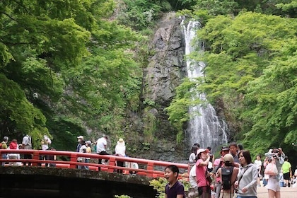 Excursion d'une journée à Katsuo-ji, Minoo Falls, Todai-ji, Arashiyama et N...