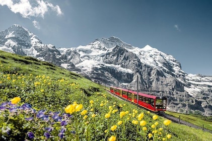 From Interlaken: Jungfraujoch-Top of Europe train ticket