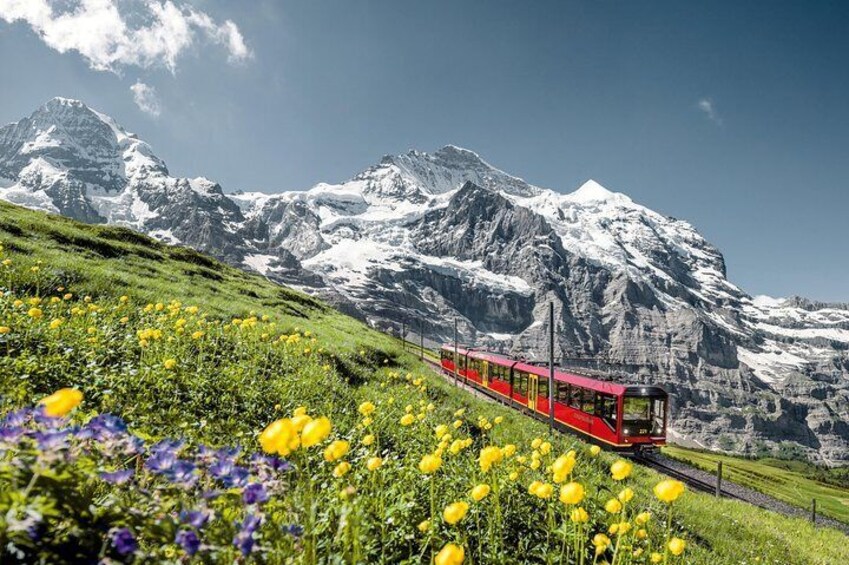 Jungfrau Railways to the Top of Europe