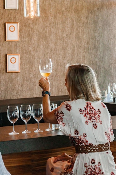 Picture 3 for Activity San Miguel de Allende: Local Vineyard Tour & Wine Tasting