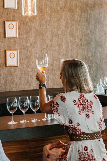 Picture 3 for Activity San Miguel de Allende: Local Vineyard Tour & Wine Tasting