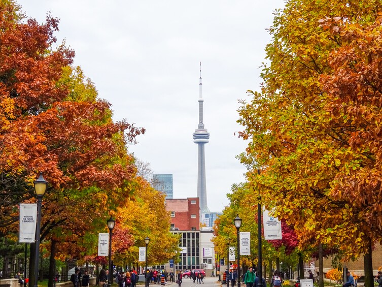 2 Hour Toronto City Tour