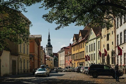 Tallinn Tales Exclusive Private Walking Tour