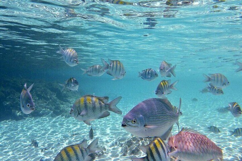 Coki Beach