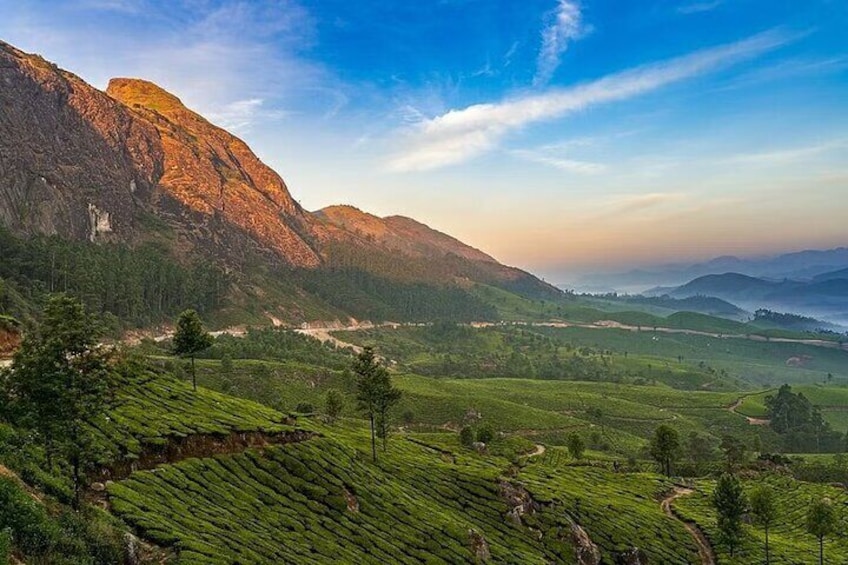 Munnar Tea Trail and Munnar Valley Trekking Tours