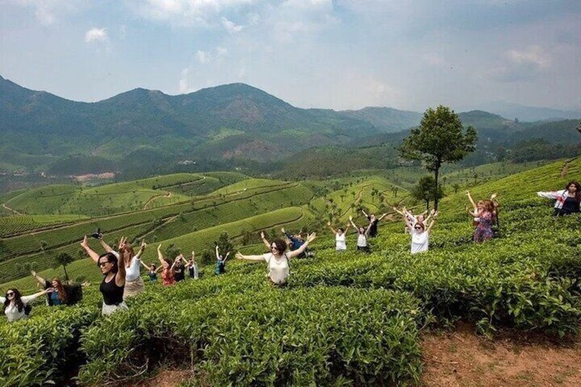 Munnar Tea Trail Tour , Tea factory visit & Tea Tasting