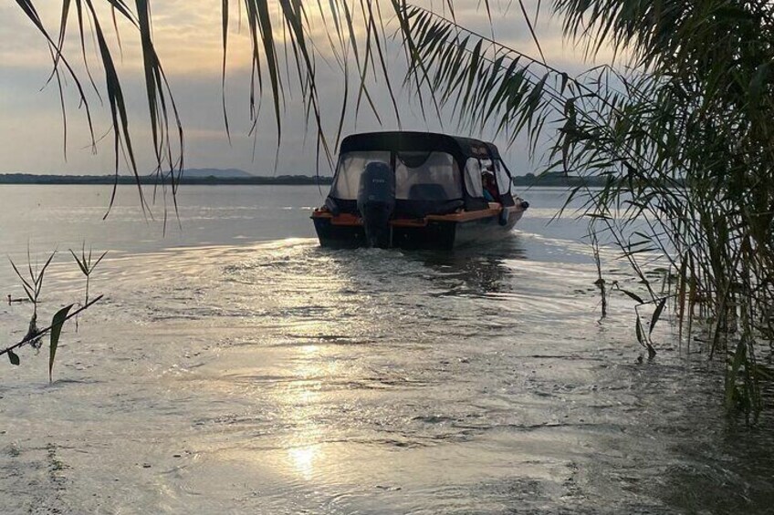 Sunrise Biosphere Mini Cruise