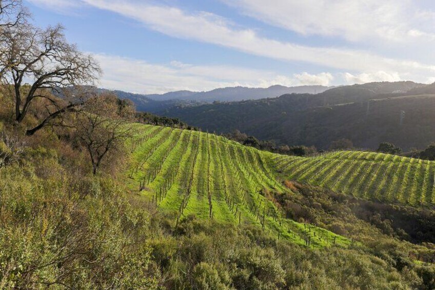 Calaveras and Tuolumne Digital Wine Tasting Pass