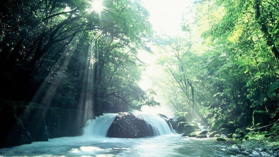 Walking with a guide through the Kikuchi Valley