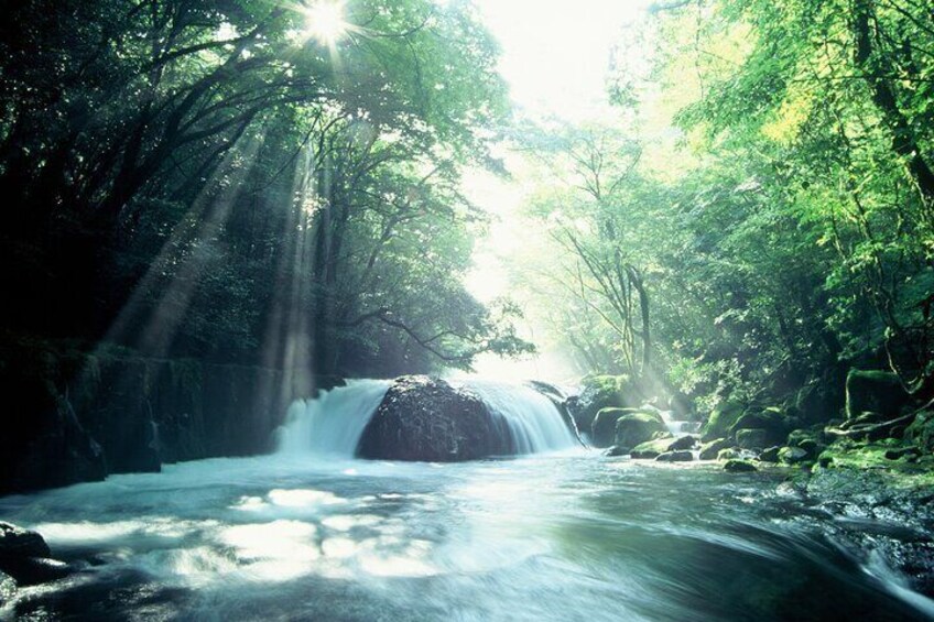 Walking with a guide through the Kikuchi Valley