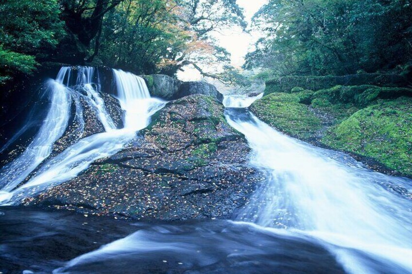 Walking with a guide through the Kikuchi Valley