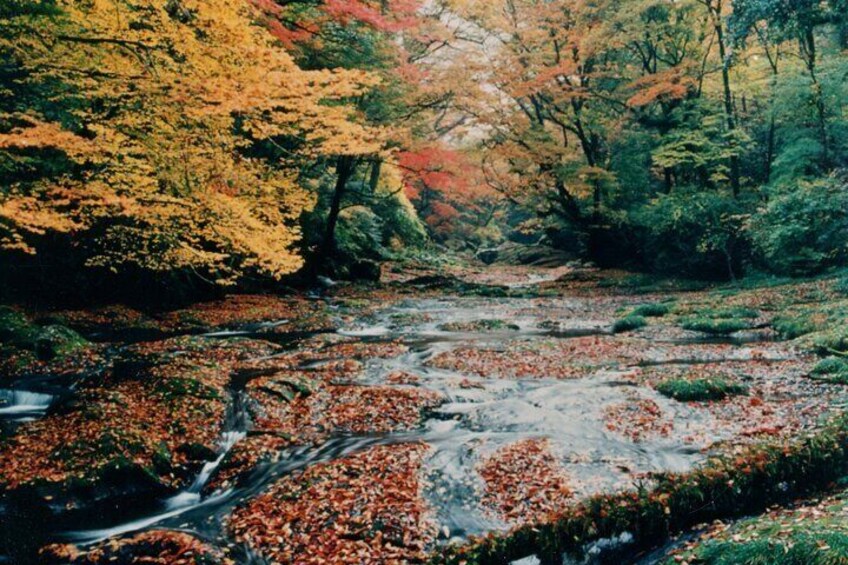 Walking with a guide through the Kikuchi Valley