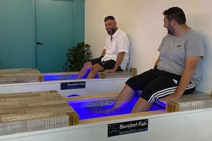 Fish Spa – 20 Minute Session in Surfers Paradise!