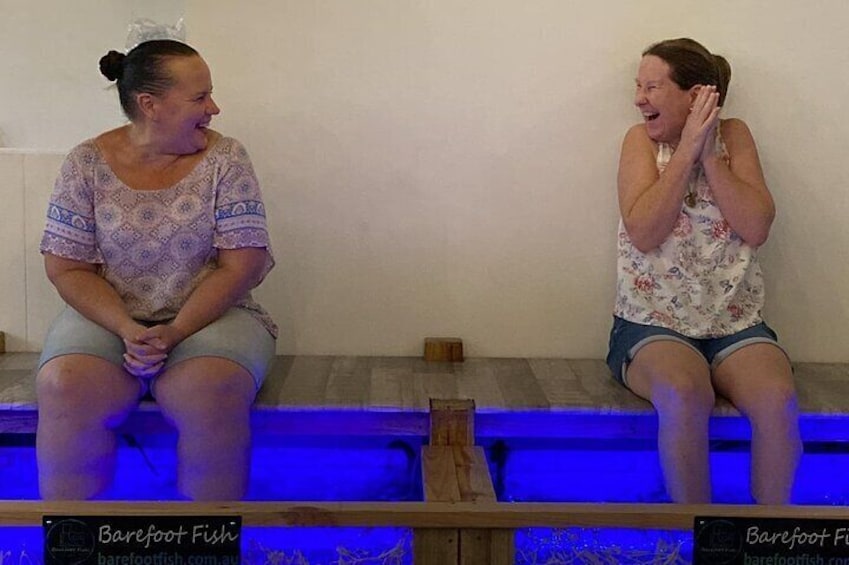 Enjoy a Fish Spa at Barefoot Fish!