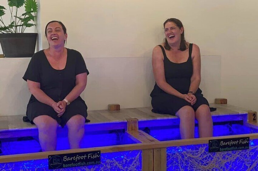 Fish Spa Session at Barefoot Fish Surfers Paradise