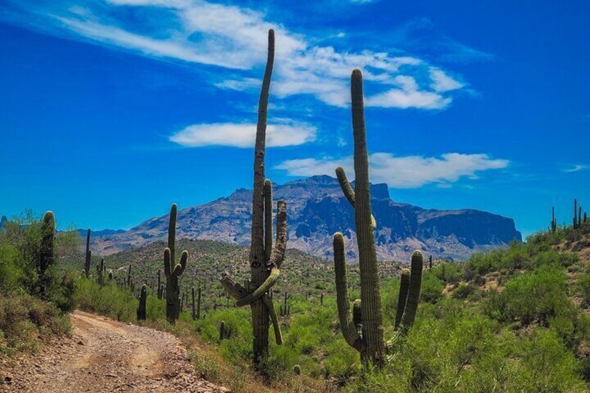 Offroad Sonoran Desert Adventure and Sunset 