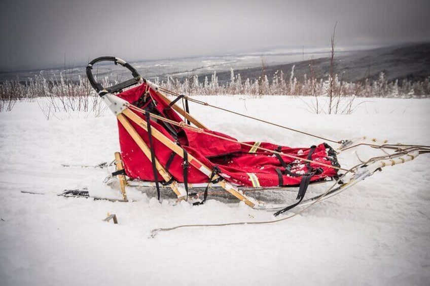 Half Day "Drive Your Own Dog Team" Dog Sledding Tour