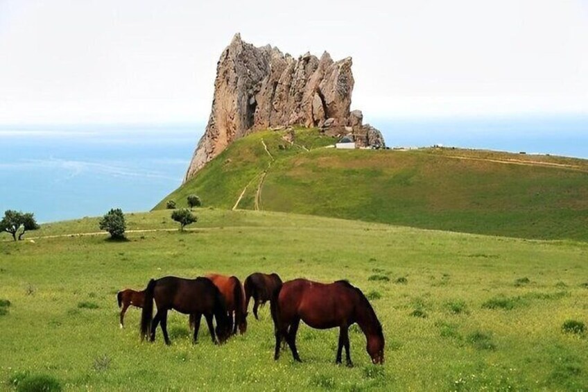 Baku : Guba-Shahdag-Cand Mountain Tour