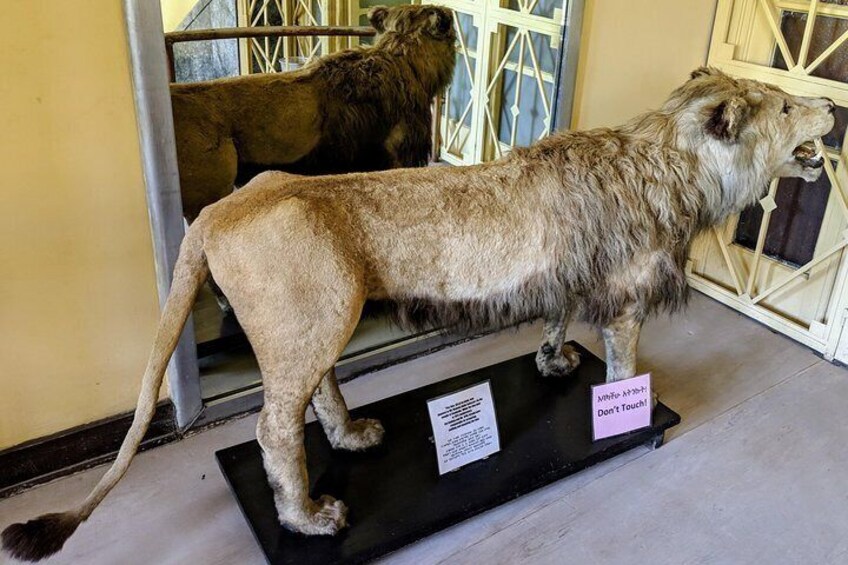 Ethnological Museum