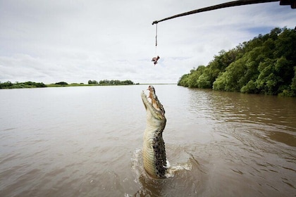 Jumping Crocodile Cruise, Aboriginal Culture Tour & Berry Springs