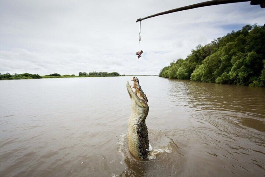 Credit: Tourism NT/Joshua Griffen