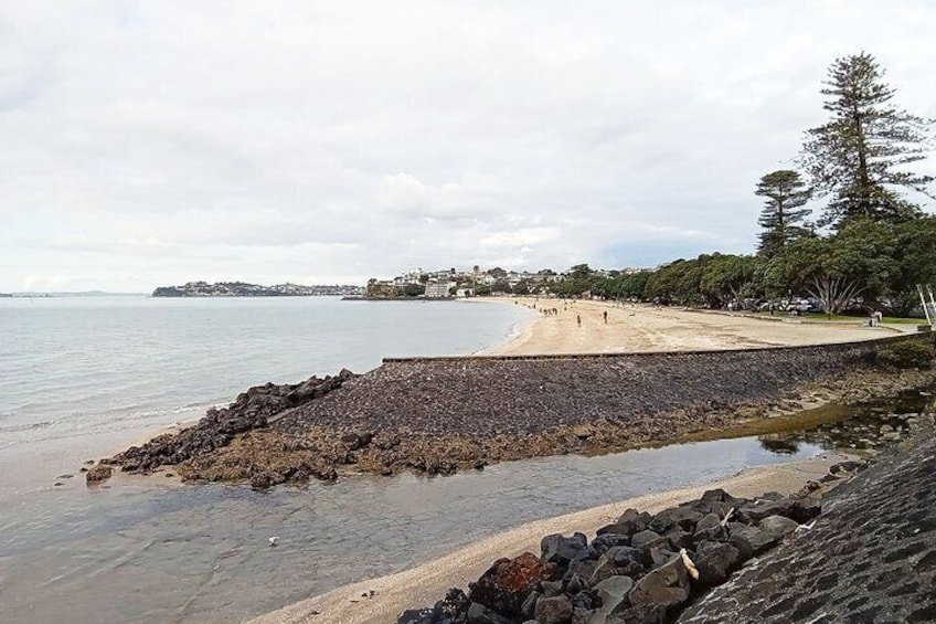 Mission Bay is one of Auckland’s most popular beaches, known for its pristine sandy shores and clear blue waters. Mission Bay is among the most celebrated local destinations in New Zealand.