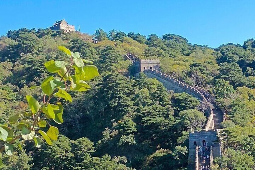 My Bus：Mutianyu Great Wall bus Tour with lunch and admissions.