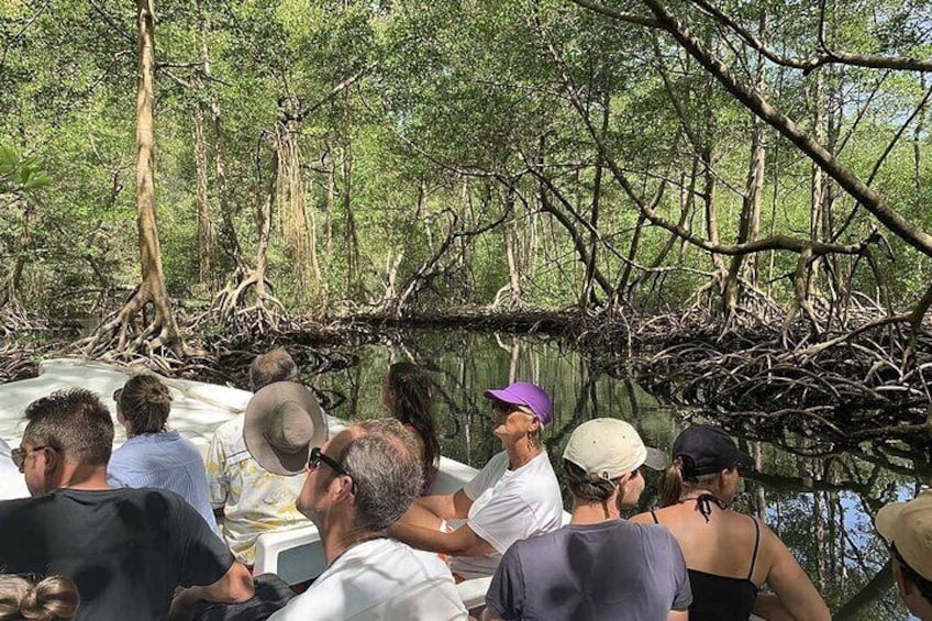 Excursion to Los Haitises and Redonda Mountain