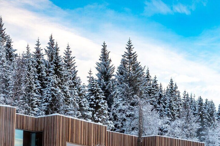 Winter Combo Godafoss Christmas House and The Forest Lagoon