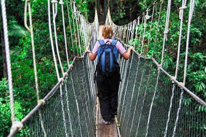 Taman Negara National Park Private Day Tour from Kuala Lumpur