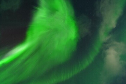 Tromsø: Northern Light tour with free complimentary photos.