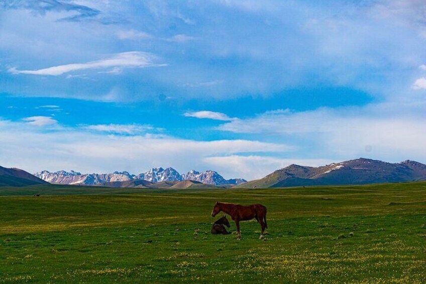 Son Kul Two Day Immersion into Nomadic Culture