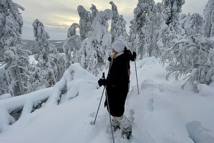 Levi: Lakeside forest snowshoeing