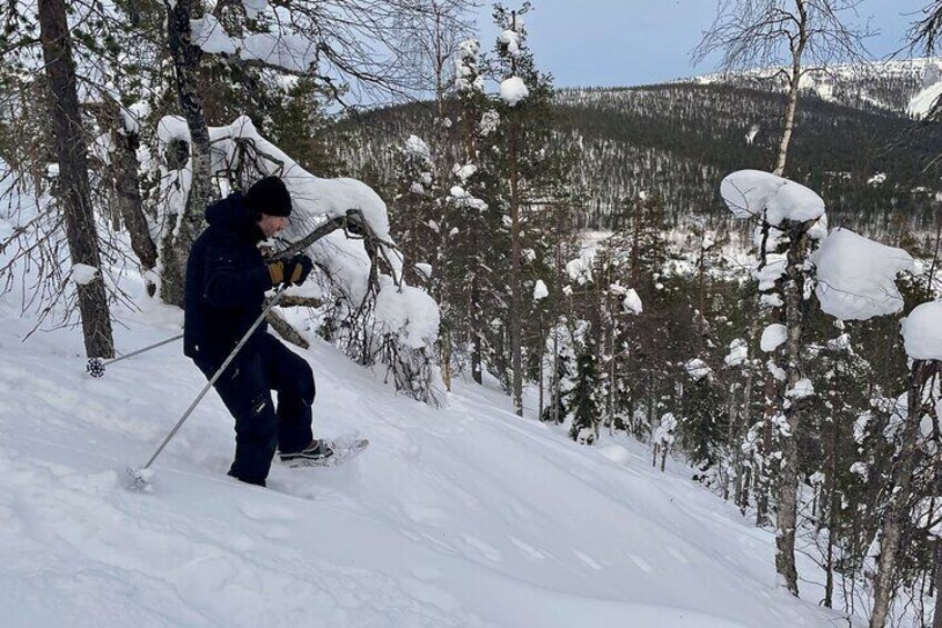 Snowshoe Hike in Levi