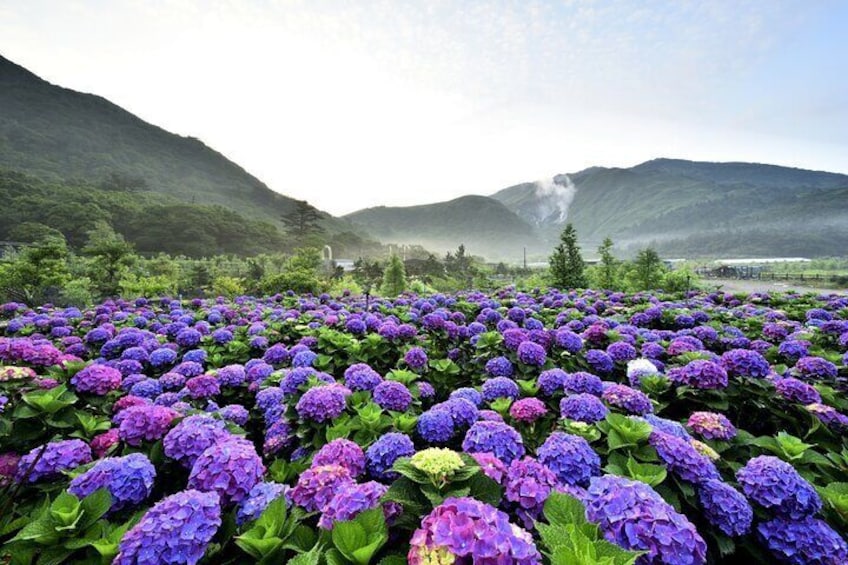 From Taipei: Yangmingshan, Yehliu, Jiufen & Shifen Private Tour