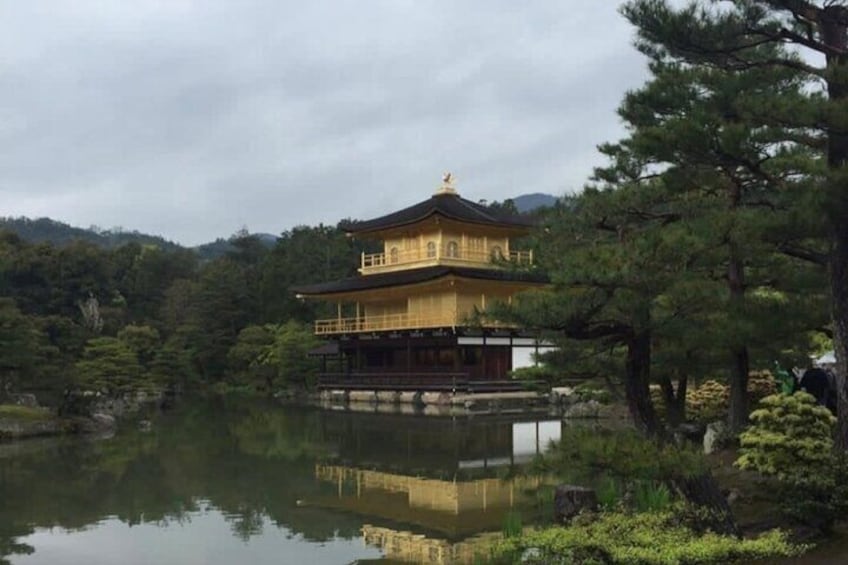 Kyoto Nara Private Guided Tour with Pick up 