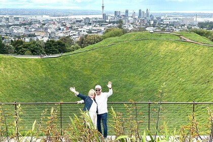 Halve dag privétour door de beste plekken in Auckland