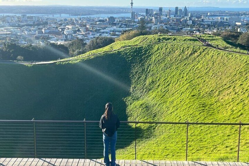 Auckland City's Sights: Private Half Day Tour with Guide