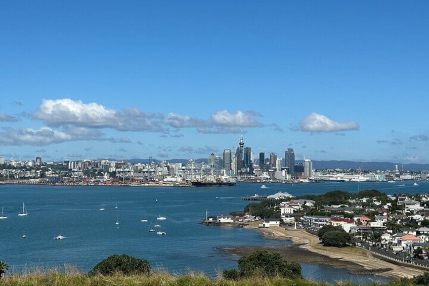 Auckland City's Sights: Private Half Day Tour with Guide