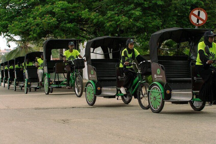 Private Electric Pedicabs Tour in Zanzibar