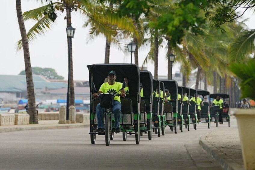 Private Electric Pedicabs Tour in Zanzibar