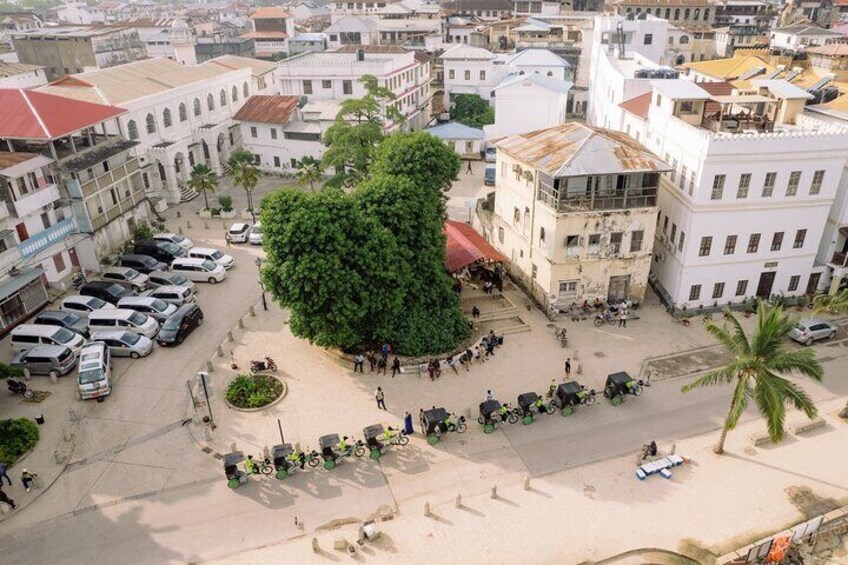 Private Electric Pedicabs Tour in Zanzibar