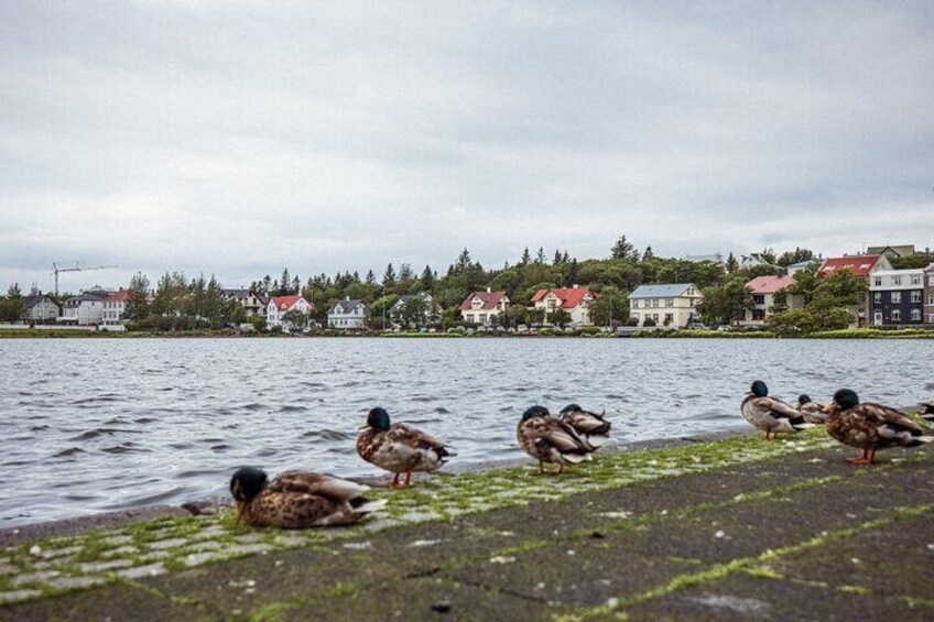 Iceland Self Guided Driving and Walking Audio Tour Bundle