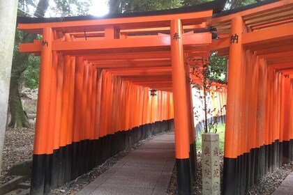 Half-Day Private Guided Tour to Fushimi Inari Taisha